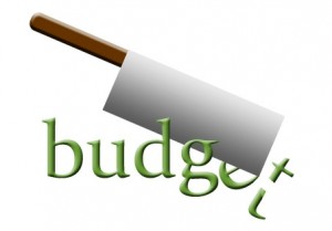 budgetcut