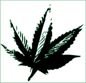 Pot-leaf