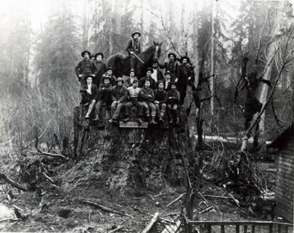 Simpson Logging Co. 1920s photo
