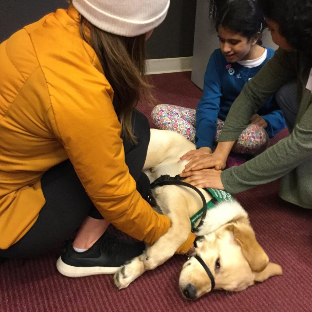 Guide Dogs for the Blind presentation