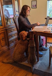 Reference librarian Mary Schaff and her two assistants working from home. Photo by Eliza Schaff, age 8.