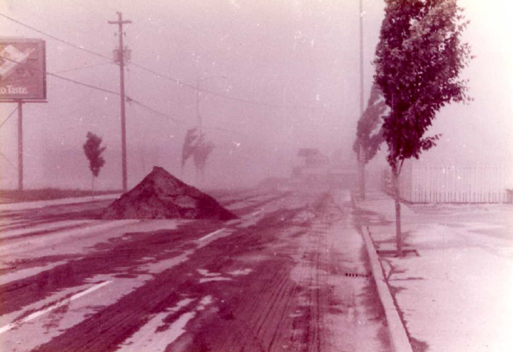 Historical picture from Yakima, Washington of the ash from Mt. St. Helens eruption. Image should a street with small trees and a medium size pile of ash. 