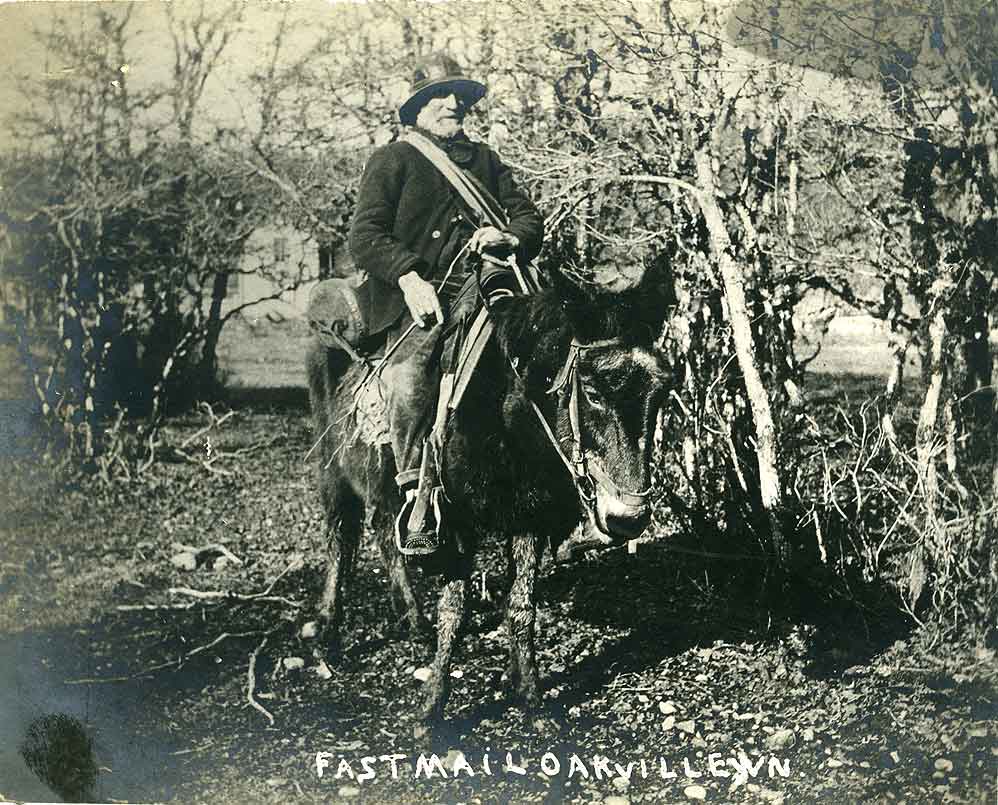 Black and white image of a person riding riding a donkey surrounded by bare trees and bushes. Photo looks to be from the fall or winter. Person riding the donkey is dressed in a thick jacket and hat. 