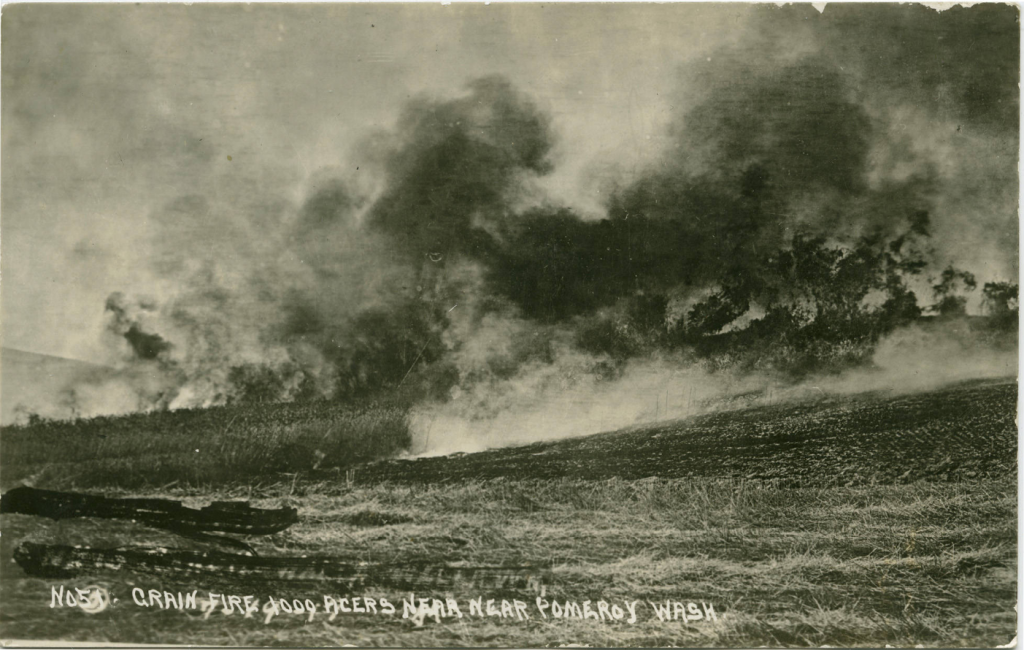 Grain fire; 1,000 acres near Pomeroy, Washington; circa 1910