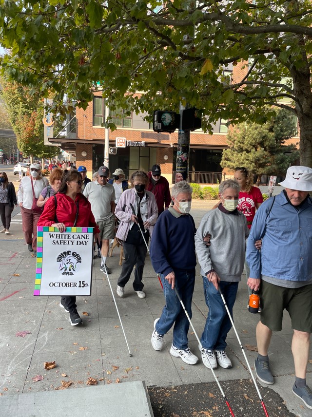 What is a white cane? Council of the Blind asking community to