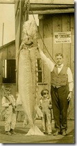 John Heron & oversized sturgeon, circa 1907