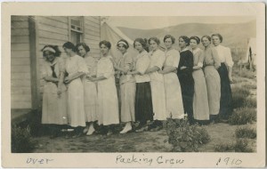 Packing crew at White Brothers & Crum Orchards, 1910.