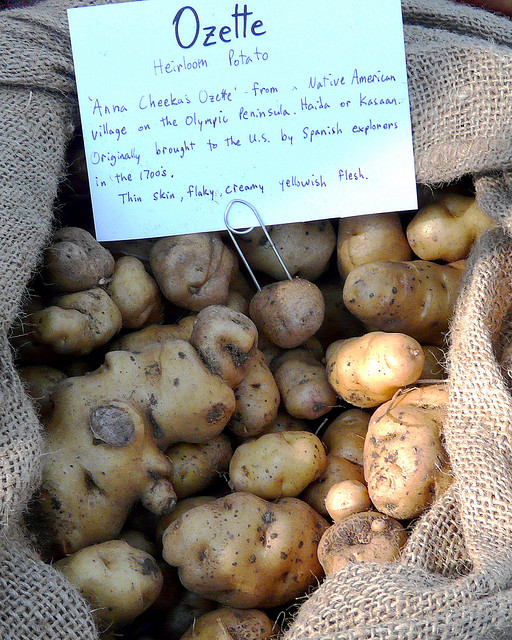 Ozette Potatoes
