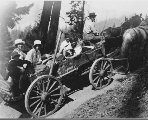 Wes Langell taking a wagon_load_up_Mt_Constitution
