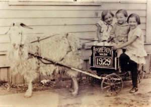 Denison_children_and_goat_cart_1929
