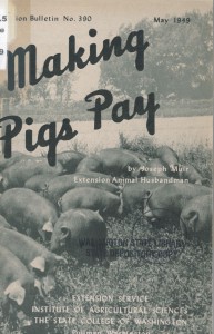 extension pigs
