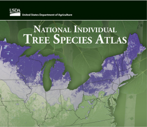 National Individual Tree Species Atlas