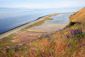 Photograph of Ebey's Landing. Photo by James Marvin Phelps.